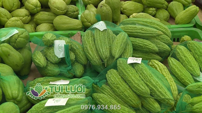 Túi lưới nhựa màu xanh bền bỉ tái sử dụng được nhiều lần