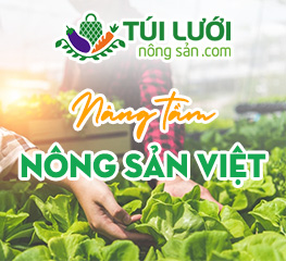 Địa chỉ bán túi lưới bọc trái cây tại Hà Nội